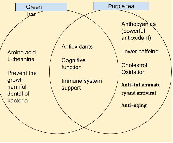  Venn diagram showing the benefits of green and purple tea
